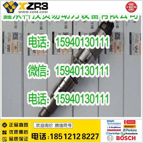 博世BOSCHCUMMINS康明斯QSL喷油器4317230，小松PC300-8喷油器4317230缩略图