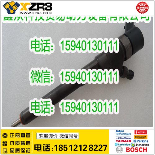 博世BOSCHBOSCH博世0445110254喷油器/BOSCH0445110254喷油器/现代起亚喷油器缩略图