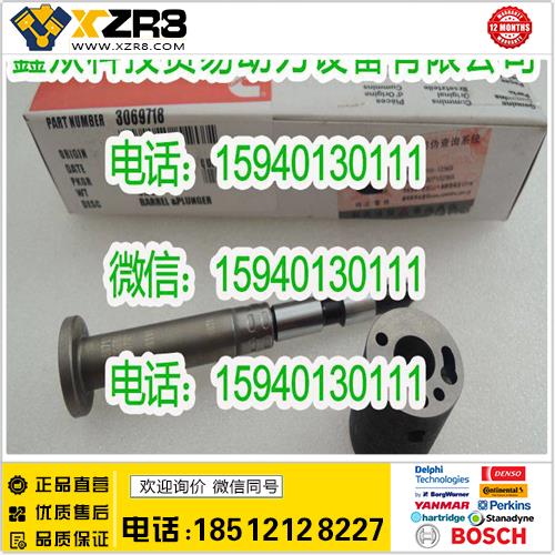 博世BOSCH康明斯3069718柱塞/CUMMINS3069718柱塞/康明斯柱塞付总成3069718缩略图