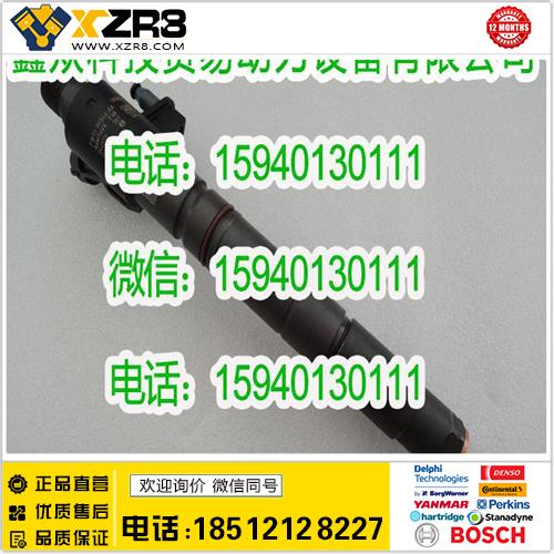 博世BOSCH路虎FW93-9K546-AA喷油器/B0445141241喷油器/路虎FW939K546AA缩略图