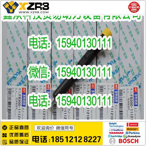 博世BOSCH玉柴FB300-1112100-011喷油器/FB3001112100011/玉柴共轨喷油器缩略图