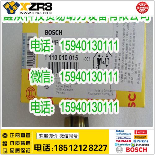 博世BOSCHBOSCH博世1110010015油轨限压阀/BOSCH博世1110010015溢流阀/1 110 010 015缩略图