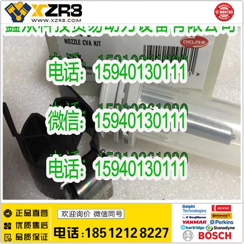 博世BOSCHDelphi德尔福7135-573大修包/Delphi德尔福7135-573套件/喷油器组件7135-573缩略图