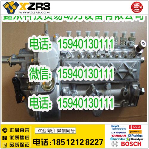 博世BOSCH道依茨30769315油泵/DEUTZ30769315喷油泵道依茨8缸喷油泵缩略图