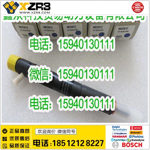 博世BOSCHDelphi德尔福EJBR02201Z喷油器/Delphi德尔福EJBR01601Z喷油器EJBR01302Z缩略图