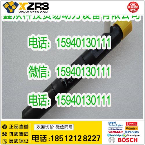 博世BOSCHDelphi德尔福EJBR06101D喷油器/DELPHIEJBR06101d喷油器/Delphi德尔福喷油器缩略图