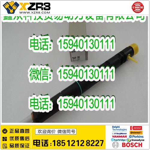 博世BOSCHDelphi德尔福EJBR05001D喷油器/Delphi德尔福共轨喷油器EJBR05001D欧四缩略图