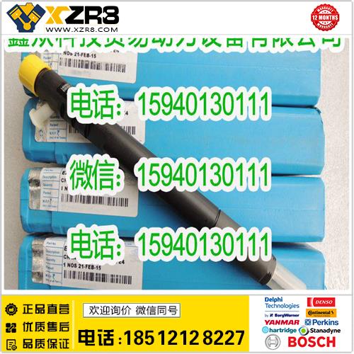 博世BOSCHDelphi德尔福EJBR04901D喷油器/Delphi德尔福共轨喷油器EJBR04901D欧四缩略图