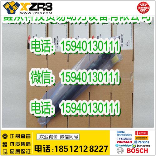 博世BOSCHDelphi德尔福EMBR00301D喷油器/双龙EMBR00301D喷油器/奔驰EMBR00301D缩略图