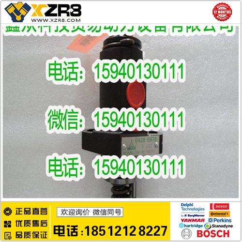 博世BOSCH道依茨04286978单体泵/DEUTZ0428-6978单体泵/林德0428 6978缩略图