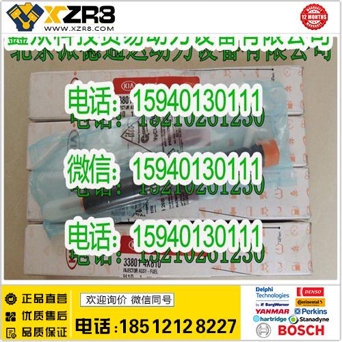 博世BOSCH现代33800-4X800喷油器/现代33801-4X810喷油器/338014X810缩略图