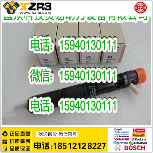 博世BOSCHDelphi德尔福EJBR03701D喷油器/现代EJBR03701D喷油器/Delphi德尔福EJBR02901D缩略图