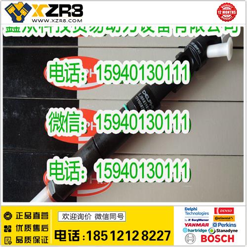 博世BOSCHDelphi德尔福EJBR03901D喷油器/Delphi德尔福EJBR03902D喷油器/ejbr03901d缩略图