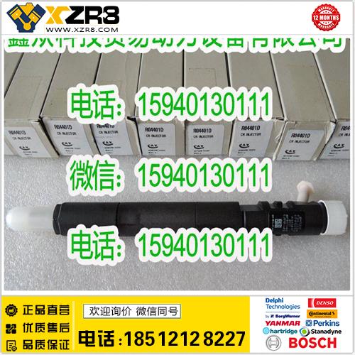 博世BOSCHDelphi德尔福EJBR04401D喷油器/双龙EJBR04401D喷油器/Delphi德尔福喷油器缩略图