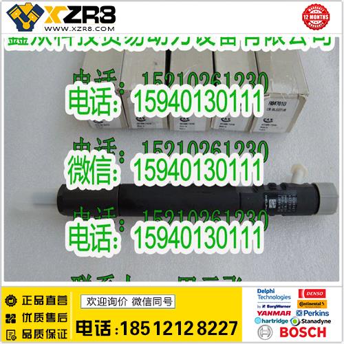 博世BOSCHDelphi德尔福EJBR04701D喷油器/双龙EJBR04701D喷油器双龙4缸喷油器缩略图