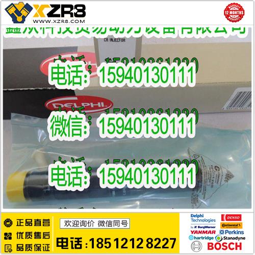 博世BOSCHDelphi德尔福EJBR05301D喷油器/玉柴EJBR05301D喷油器/玉柴4F喷油器缩略图