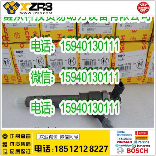 博世BOSCHBOSCH博世0445110250喷油器/BOSCH0445110250喷油器/0 445 110 250缩略图