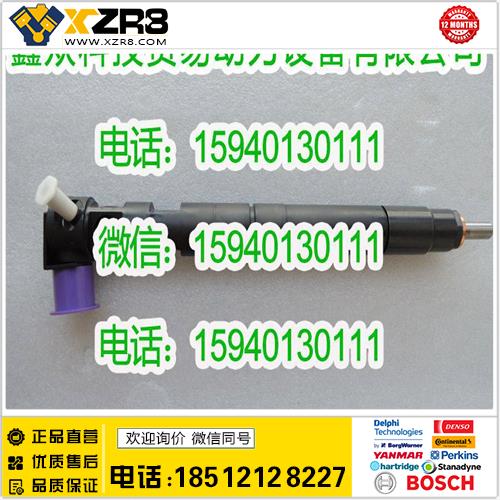 博世BOSCHDelphi德尔福28229873喷油器/DELPHI28229873喷油器缩略图