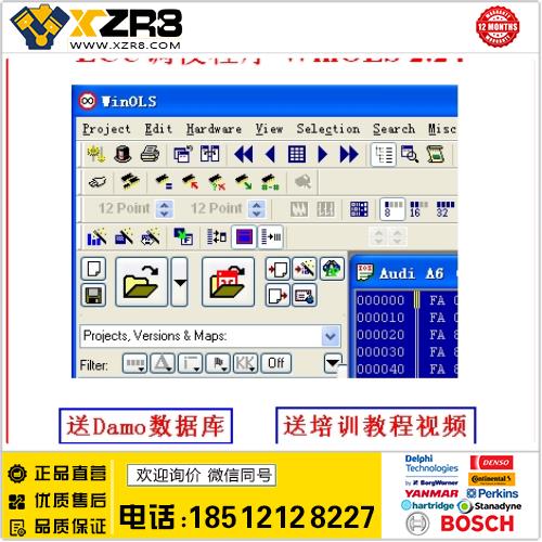 汽车 ECU Tuning ECU调校软件 WinOLS 2.24 含damo数据 送视频缩略图