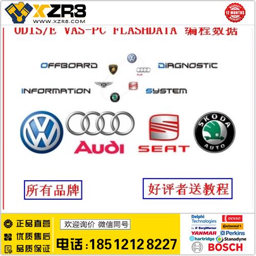 2016年12月 大众奥迪编程 ODIS Audi VW Skoda FLASH DVD编程数据缩略图